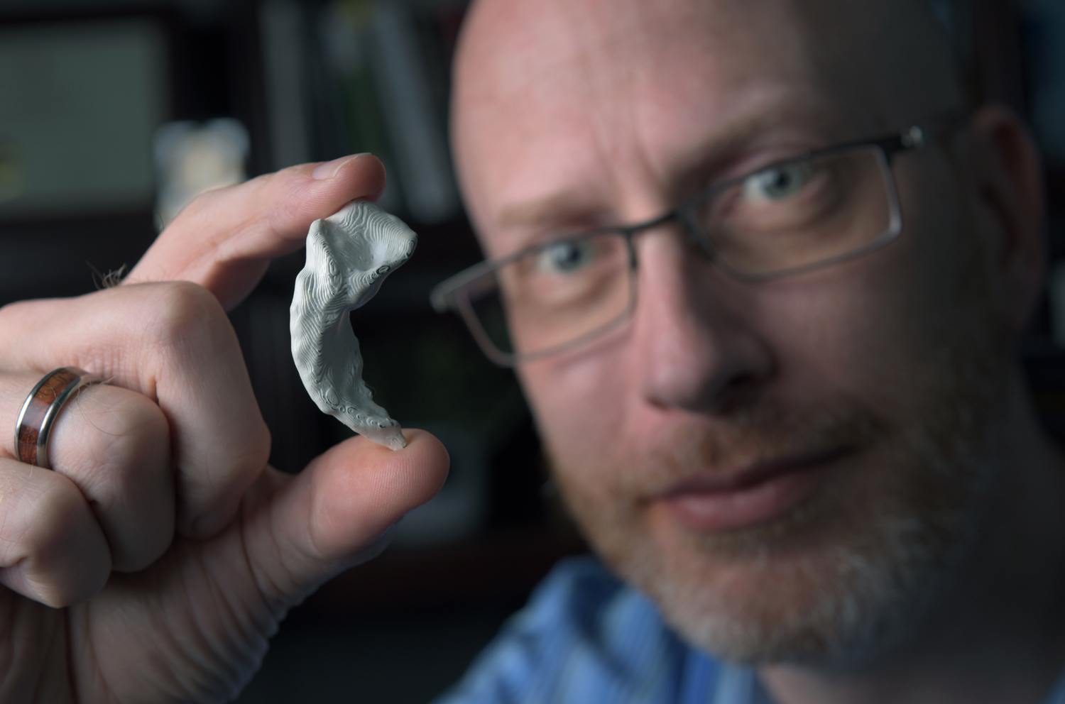 UCI professor of neurobiology & behavior Craig Stark, here holding a 3-D-printed model of his own hippocampus, says that "video games may be a nice, viable route" to maintaining cognitive health. Photo by Steve Zylius / UCI