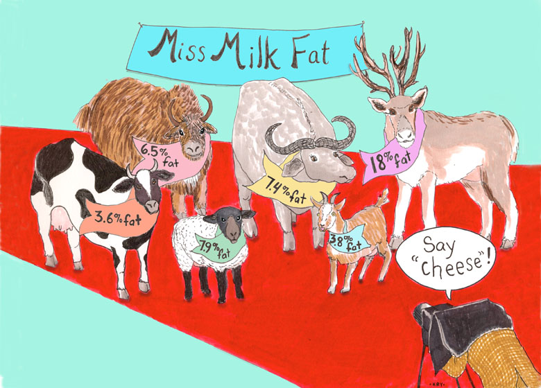 Miss Milk Fat