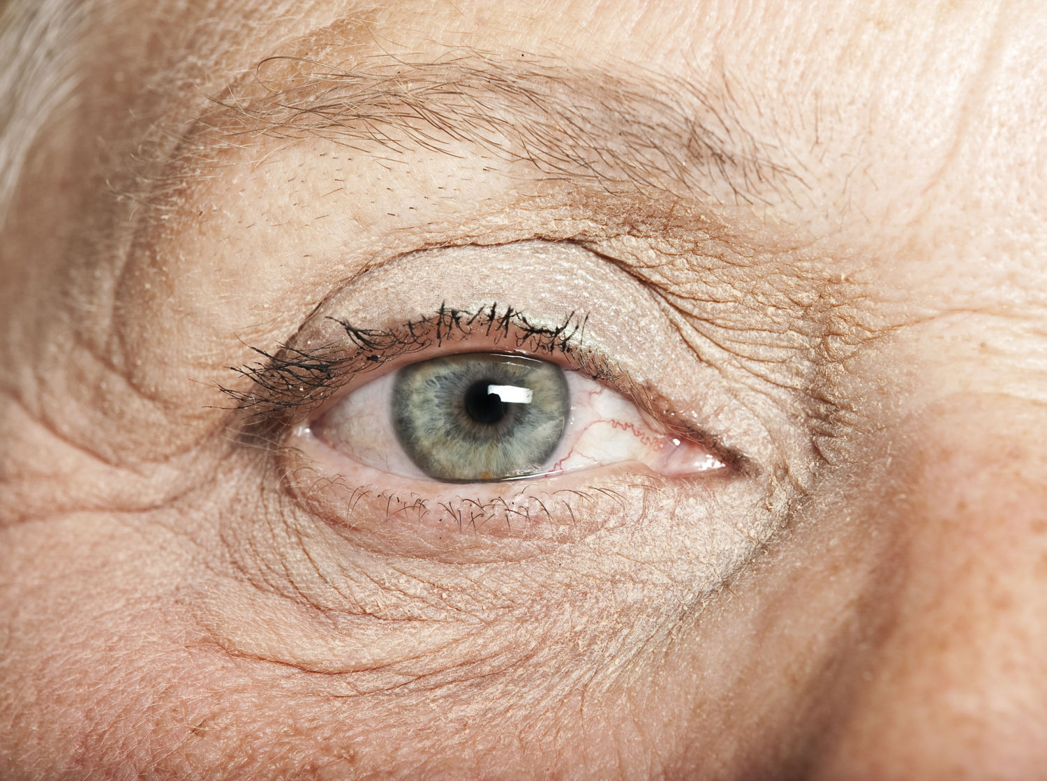 Eye, from Shutterstock