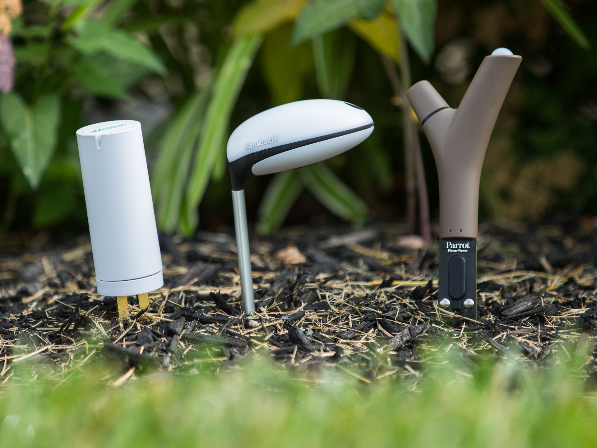 These gadgets will tell you helpful info about your garden. Credit: CNET