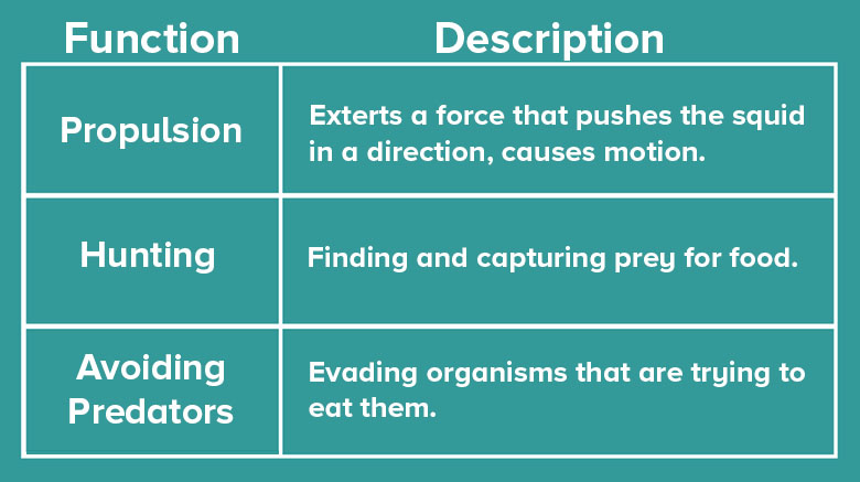 StructureFunction