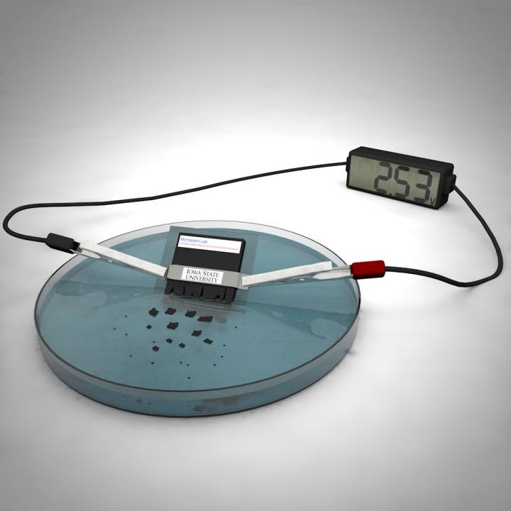 Iowa State scientists have developed a working battery that dissolves and disperses in water. Scientific illustration by Ashley Christopherson.