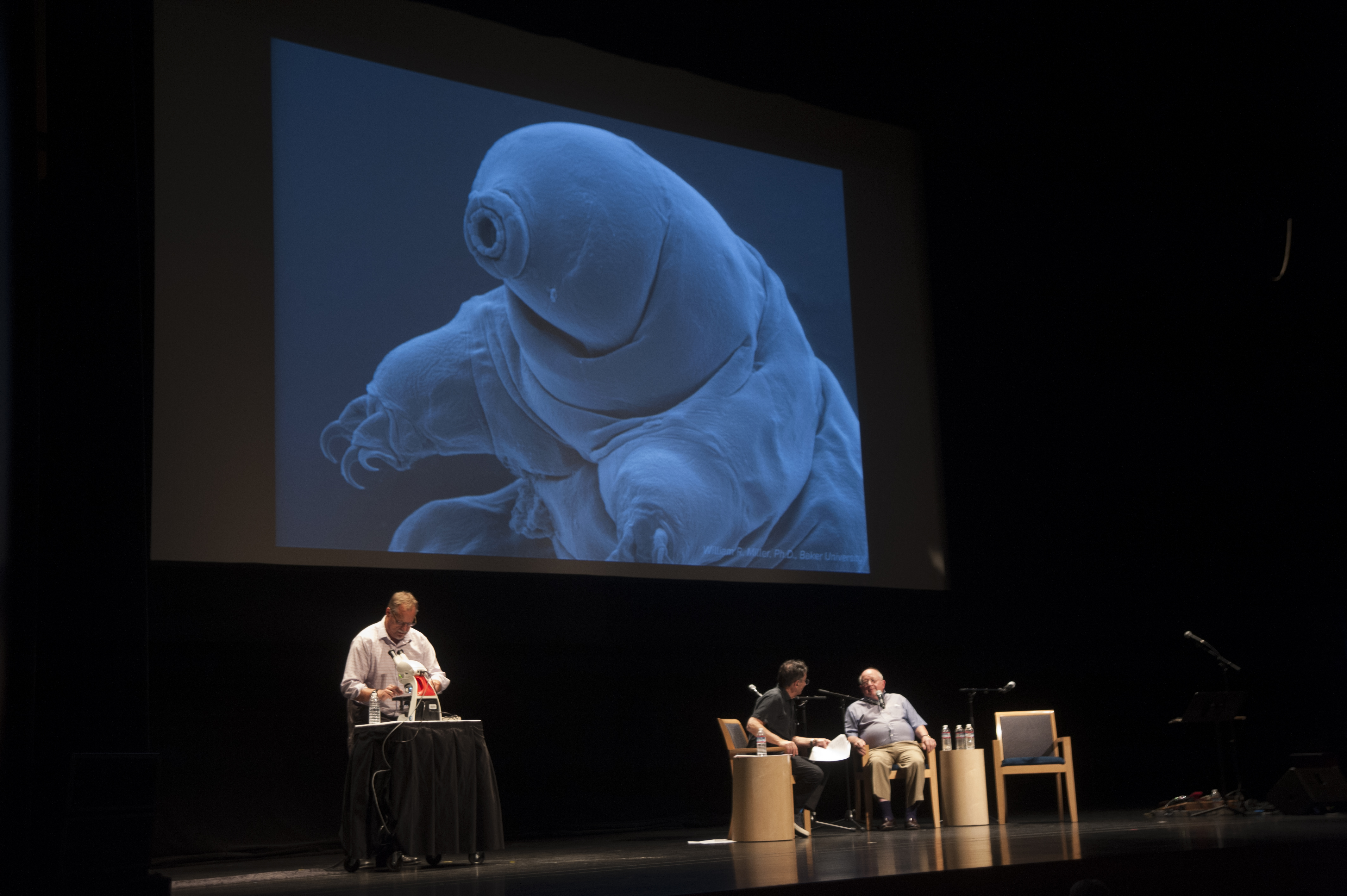 From lef to right: Carl Johansson, Ira Flatow, and John Crowe discussing the tardigrade. Credit: Adeline Xu/UC Davis