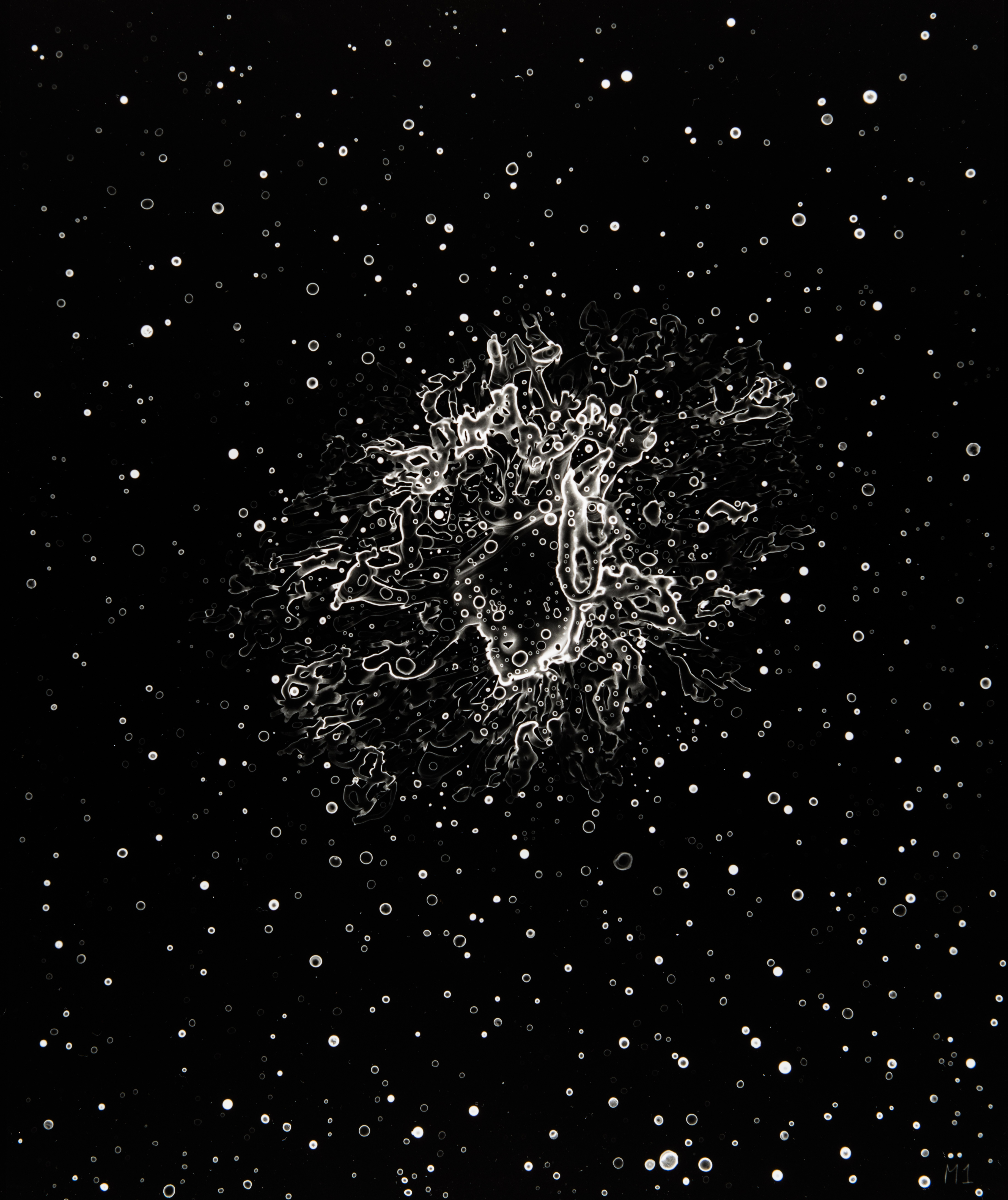 Print of M1 (Crab Nebula), from "Deep Sky Companion" by Lia Halloran. Credit: Lia Halloran