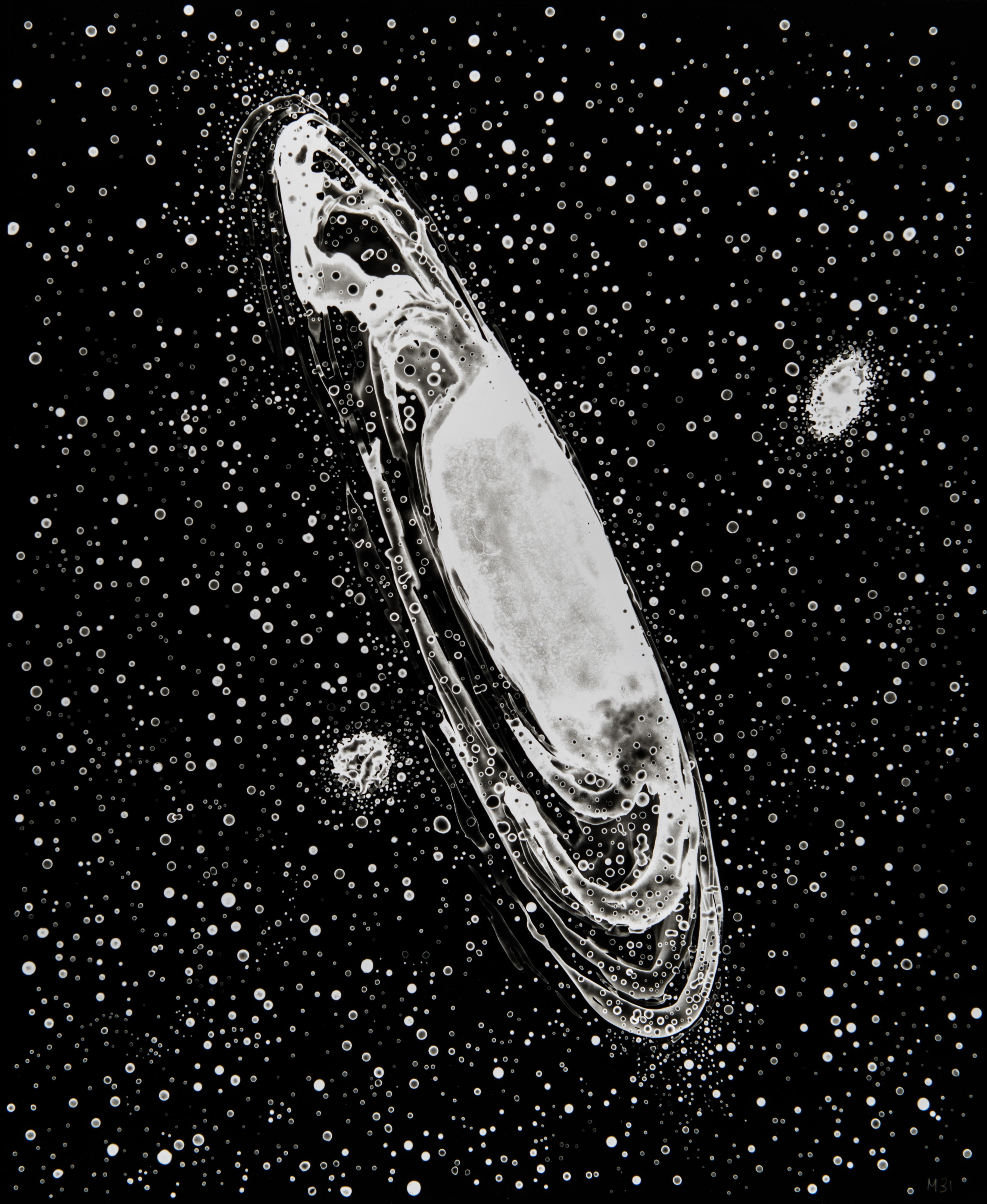 Print of M31 (Andromeda Galaxy), from "Deep Sky Companion" by Lia Halloran. Credit: Lia Halloran