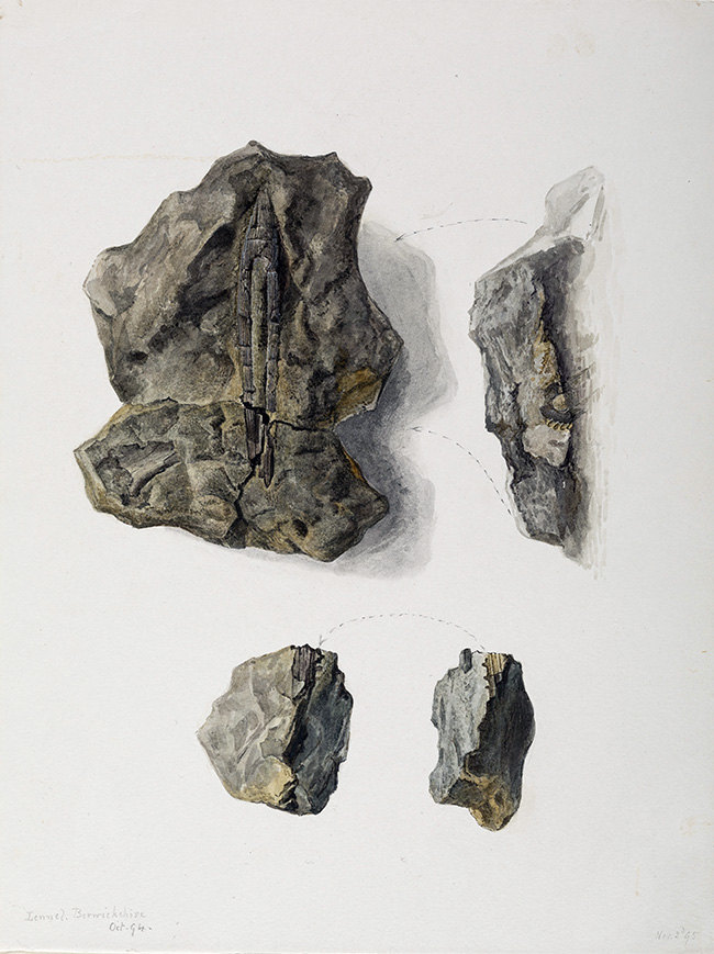 Fossil studies, Burnmouth, Coldstream, Oct. 1894. Credit: Armitt Museum