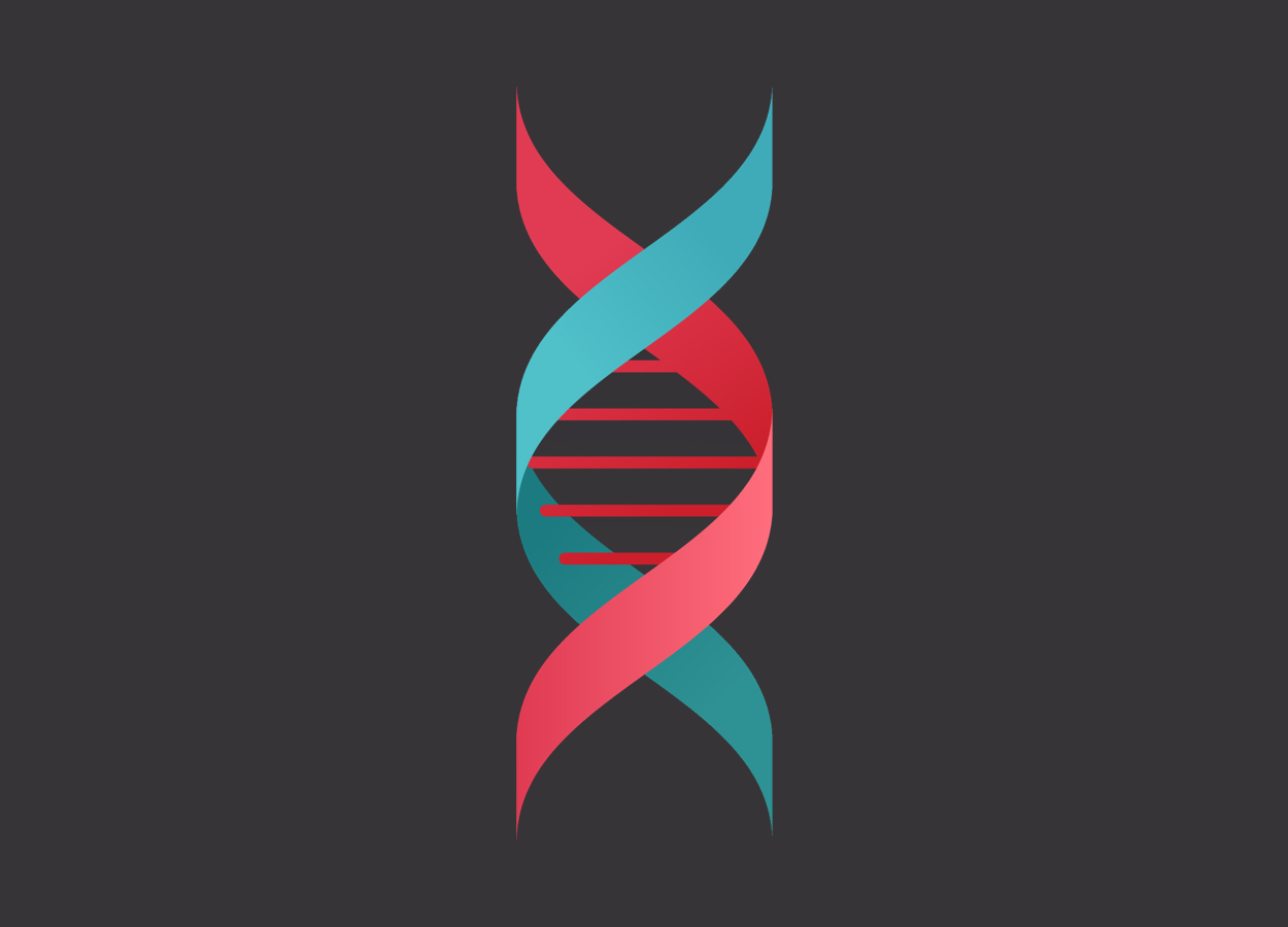 A model of a DNA strand, via Shutterstock