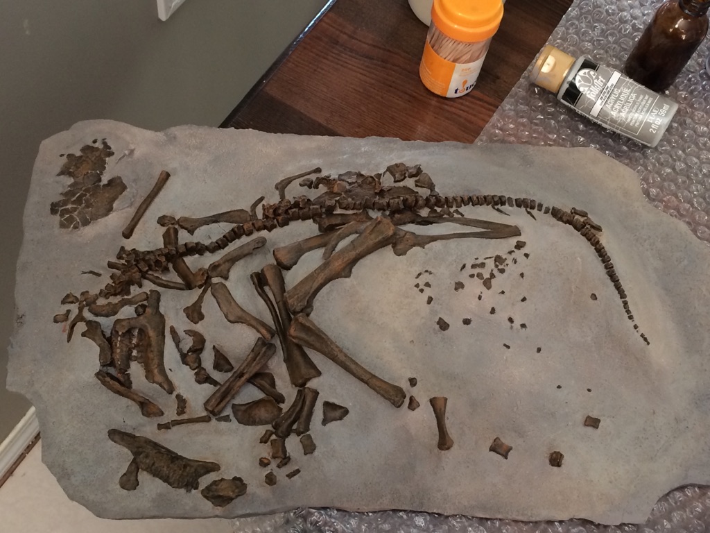 Embryonic remains of Hypacrosaurus. Courtesy of Darla Zelenitsky, University of Calgary