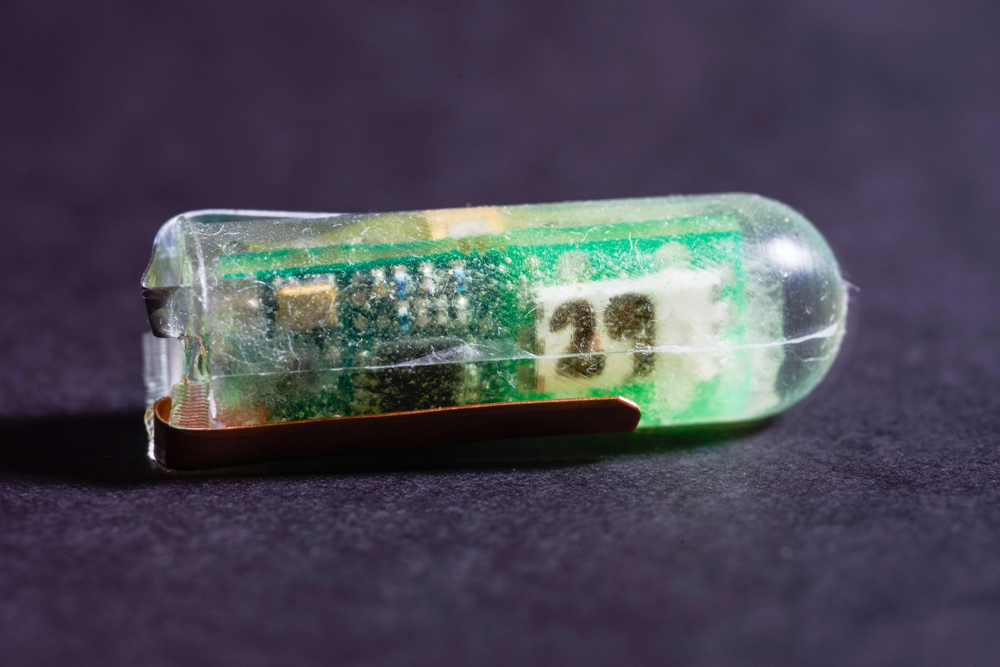 Researchers have produced an ingestible voltaic cell that is powered by the acidic fluids in the stomach. Credit: Diemut Strebe