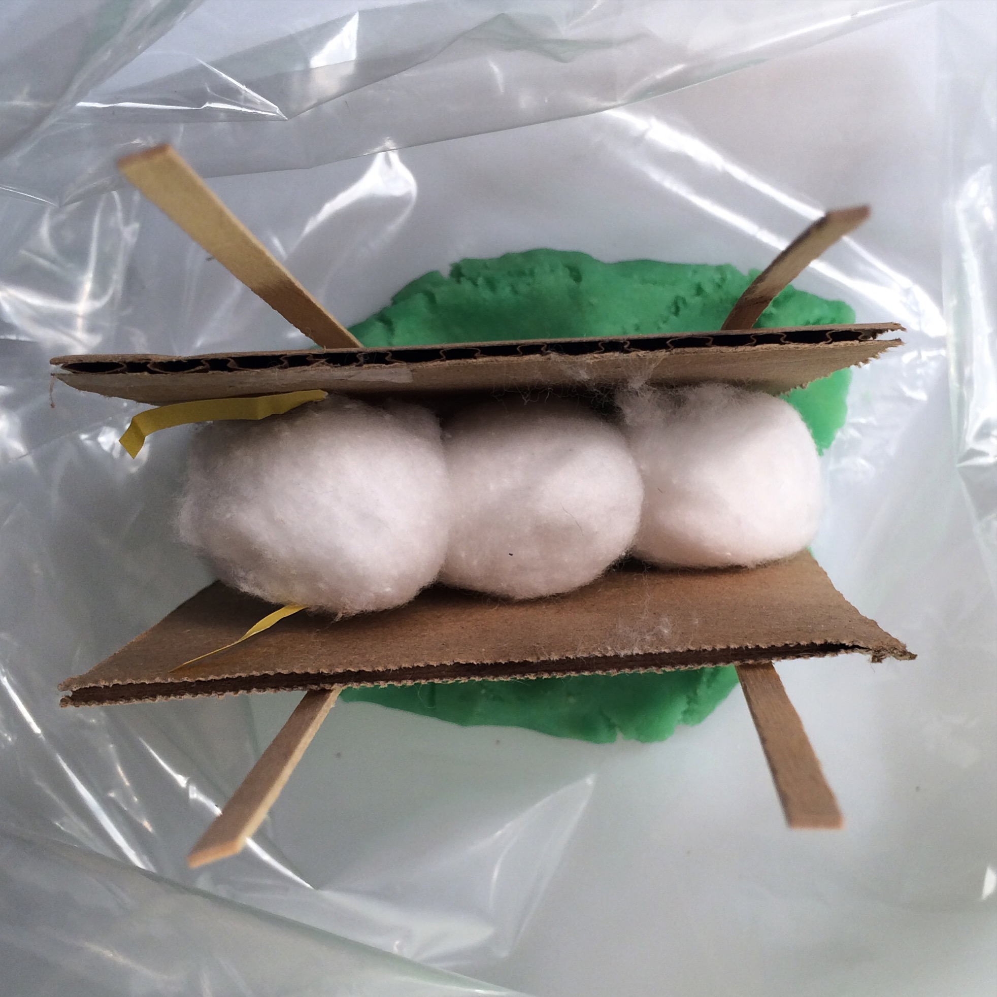 How Can We Build Homes That Are Resistant to Mold? Science Friday