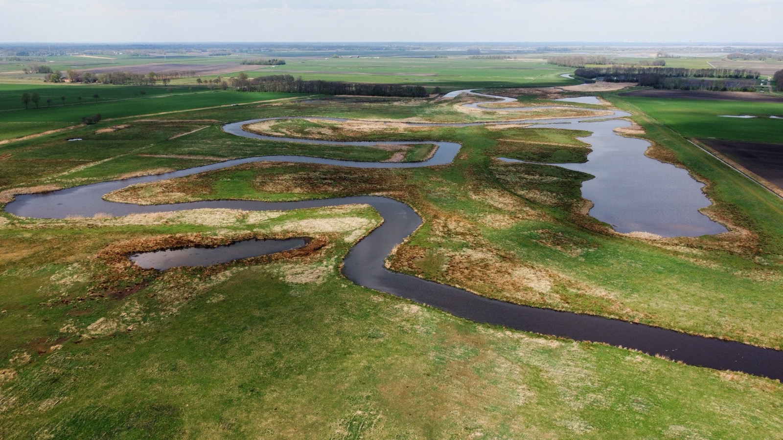 An aerial view of a heavily meandering river winding in tight S-curves across a flat, open landscape of green fields and wetland vegetation. The river's loops are so pronounced that some have nearly closed off into isolated oxbow ponds. Agricultural fields stretch to the horizon in the background. 