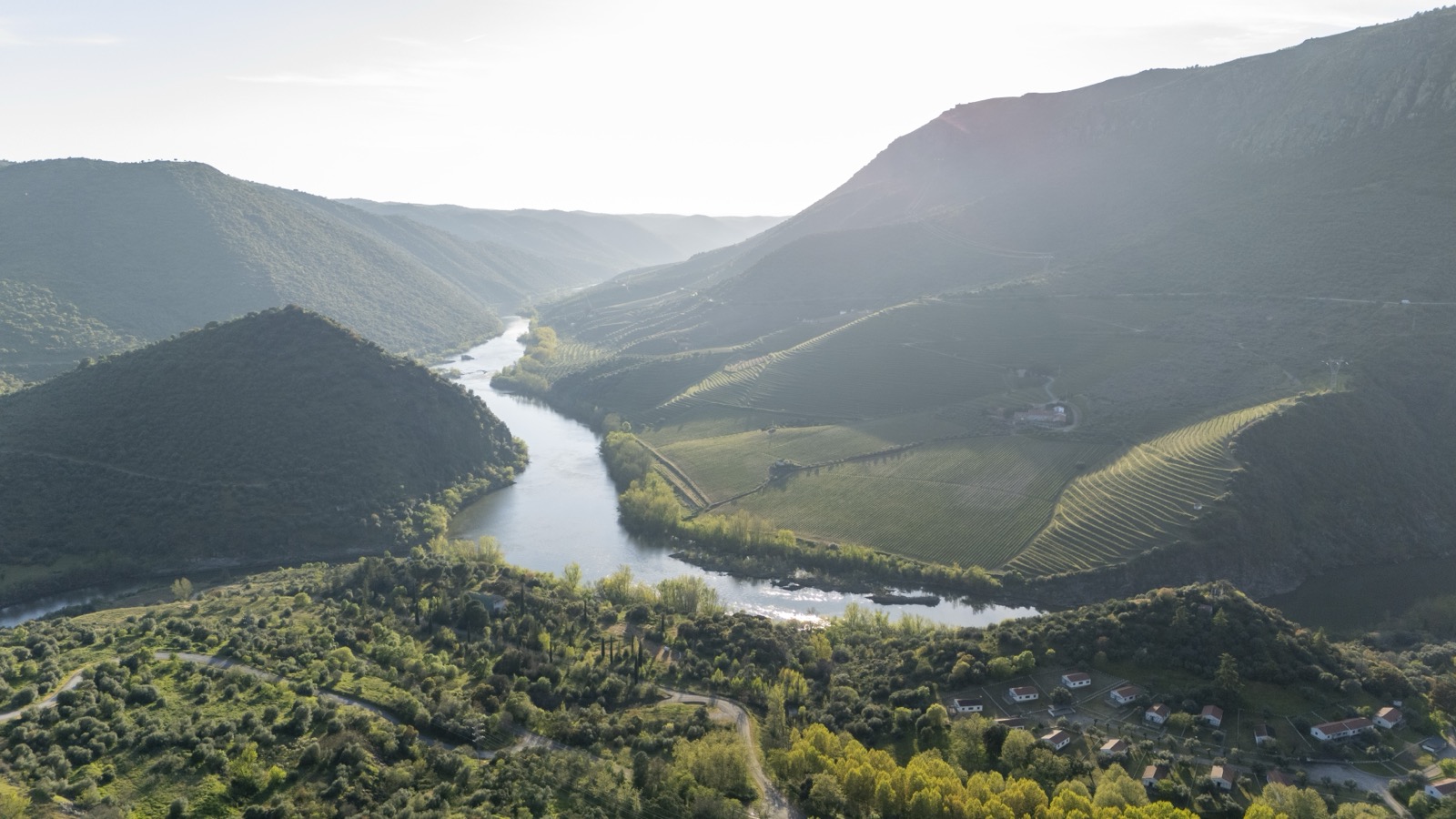 An aerial view of a wide river winding through a steep mountain valley at golden hour. Rows of terraced vineyards cover the sunlit hillsides on the right bank, curving in parallel lines along the contours of the slopes. Dense green trees and a small cluster of white buildings nestle at the valley floor. Layers of forested ridgelines recede into a hazy horizon.