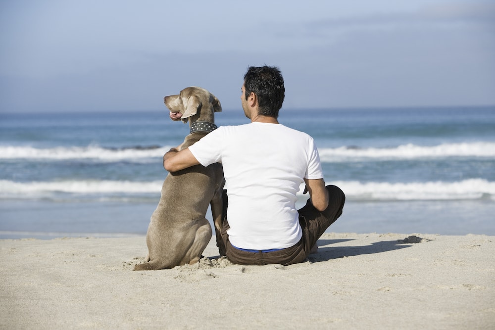 man sitting on beach with dog