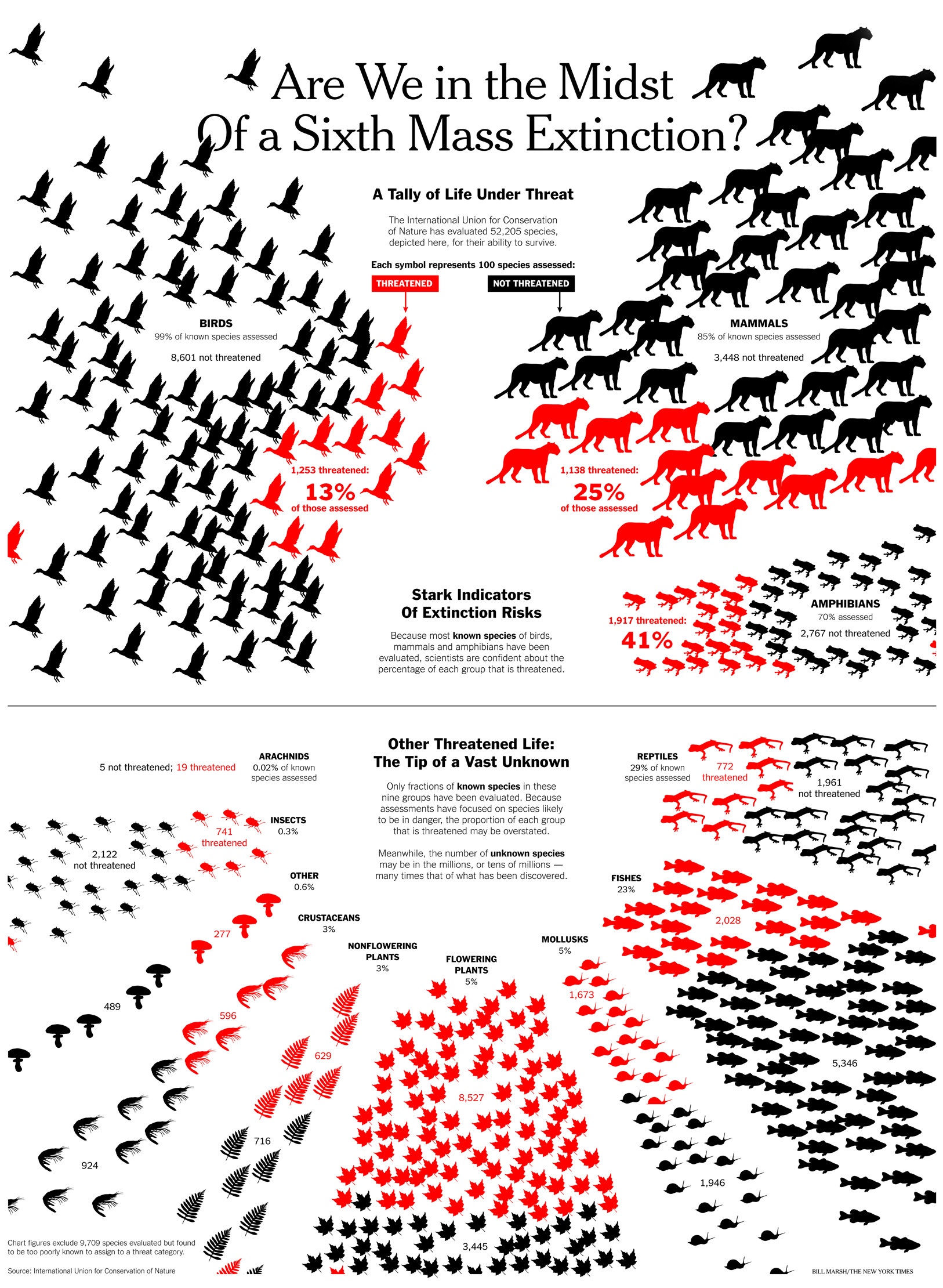 Image result for infographic by new york times