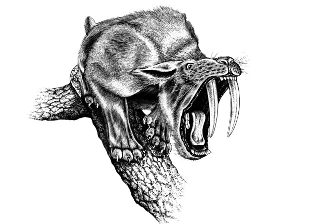 Horns, Claws, and Teeth: The Animal Weapons Arms Race - Science Friday Horns, Claws, and Teeth: The Animal Weapons Arms Race - Science Friday