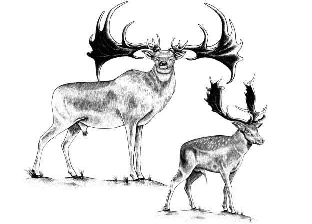 Horns, Claws, and Teeth: The Animal Weapons Arms Race - Science Friday Horns, Claws, and Teeth: The Animal Weapons Arms Race - Science Friday
