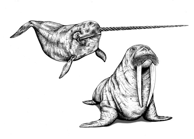 Horns, Claws, and Teeth: The Animal Weapons Arms Race - Science Friday Horns, Claws, and Teeth: The Animal Weapons Arms Race - Science Friday