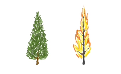 Christmas Tree Combustion Science Friday