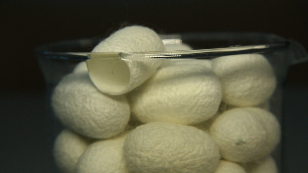 From Silk Worm Cocoon to Biotech Device
