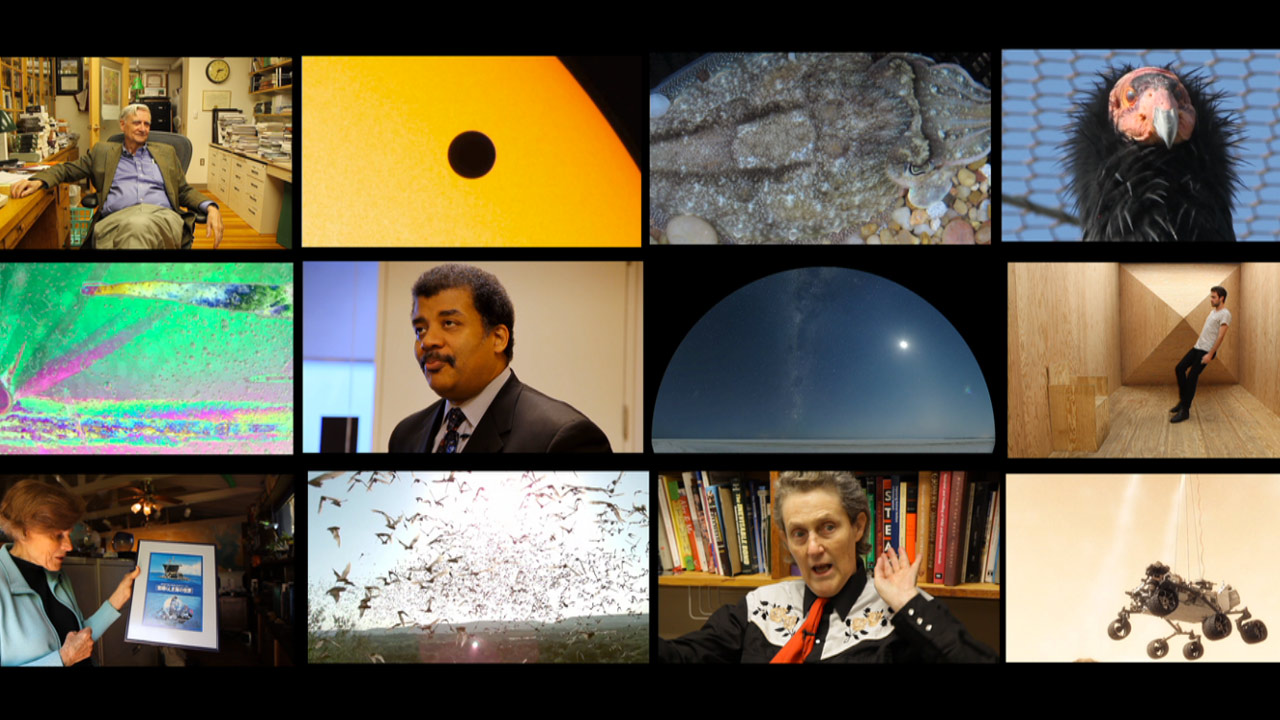 Reel Science Friday 2012 Highlights Science Friday