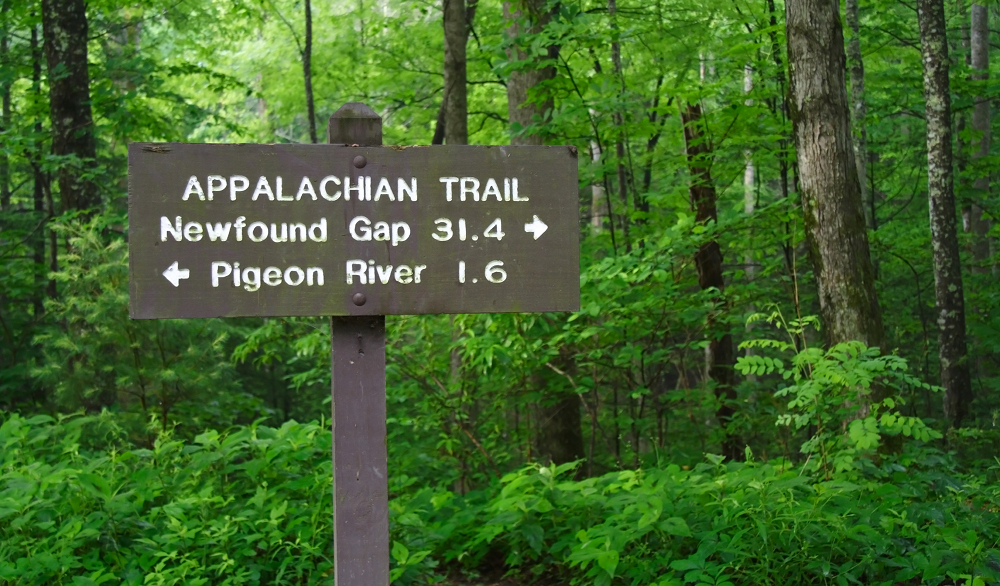 The SciFri Book Club Takes a Hike Science Friday