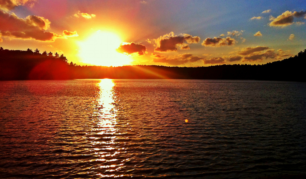 Thoreau, Climate Scientist Science Friday