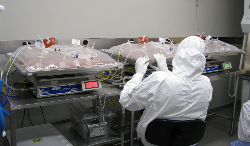 Giving Viruses a License to Kill...Cancer Science Friday