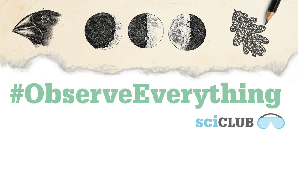 Science Friday Science Club Observe Everything Science Friday