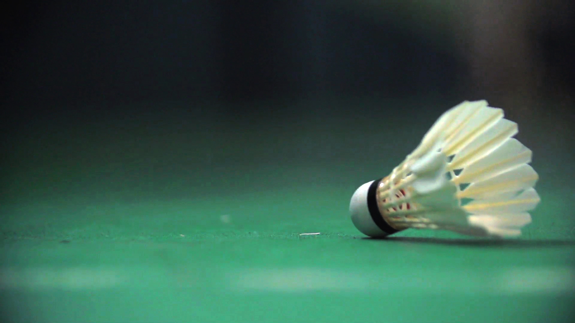 Birdie In Flight: The Science of Badminton - Science Friday