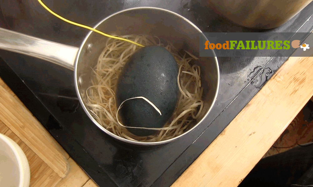 Cracking the Egg - Science Friday