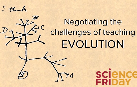 Teaching Evolution in the Classroom