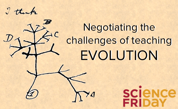 Teaching Evolution in the Classroom