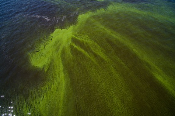 April's Book Club Pick: 'The Death and Life of the Great Lakes