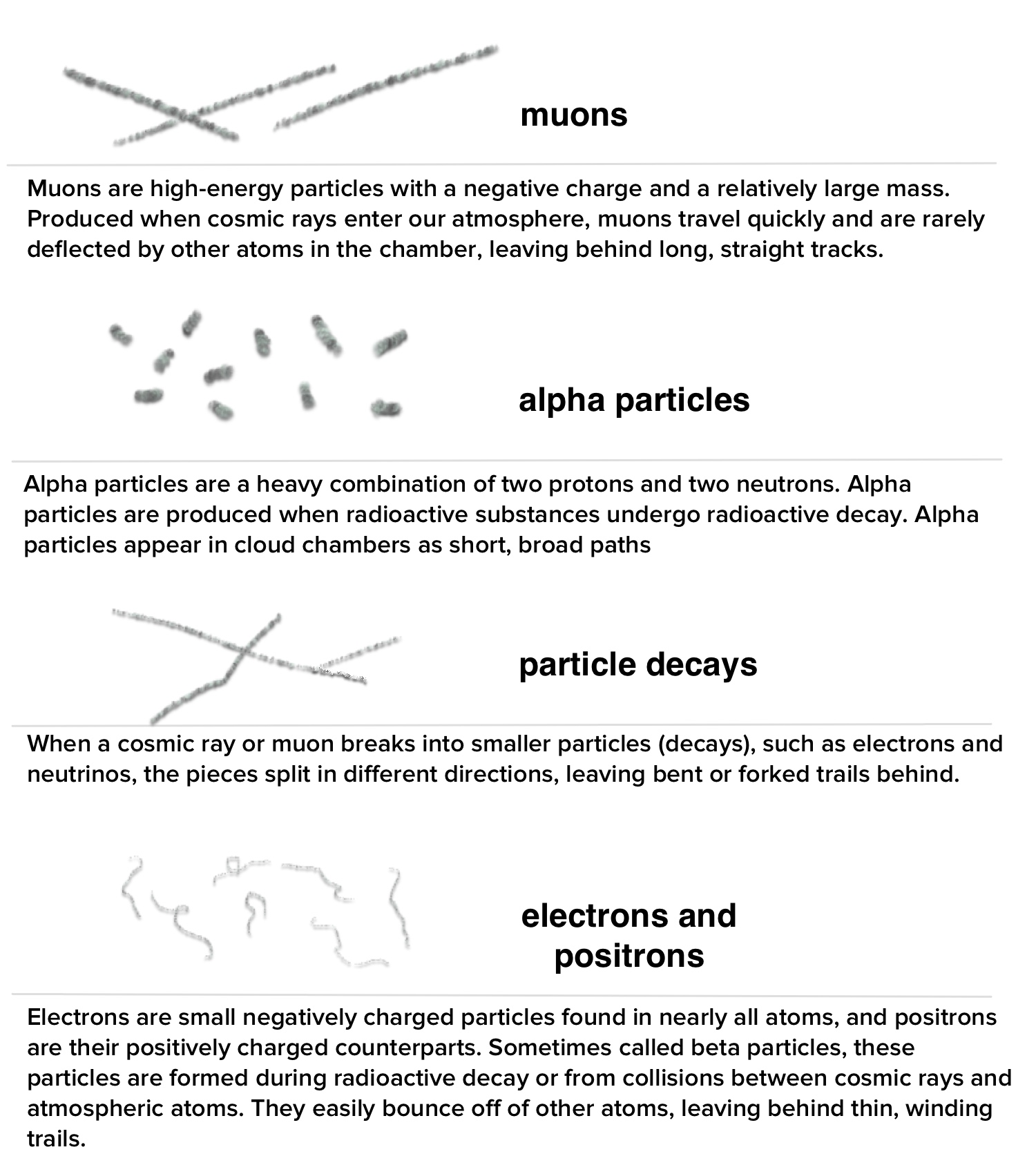 Build A Radiation Detector