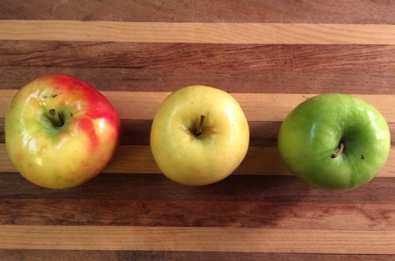 https://www.sciencefriday.com/wp-content/uploads/2015/11/feature-apple-type-image1.jpg?w=575&h=380&crop=1