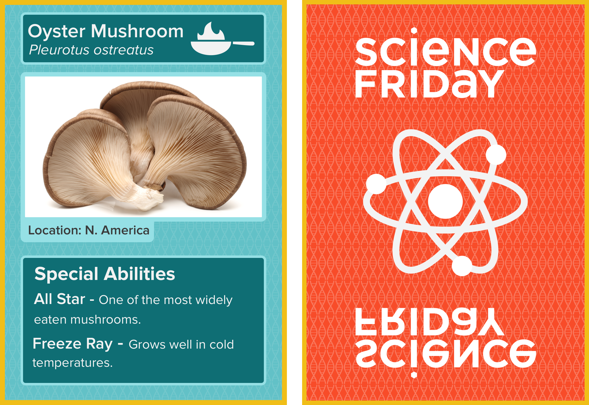 Good Mushroom, Bad Mushroom Fun(gus) Trading Cards Science Friday