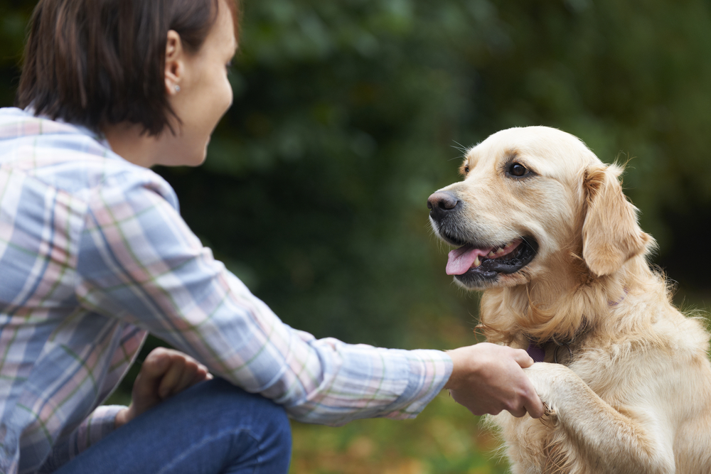 Understanding Canine Communication - Science Friday