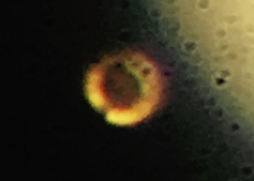 The HighPressure Physics of Creating Metallic Hydrogen Science Friday