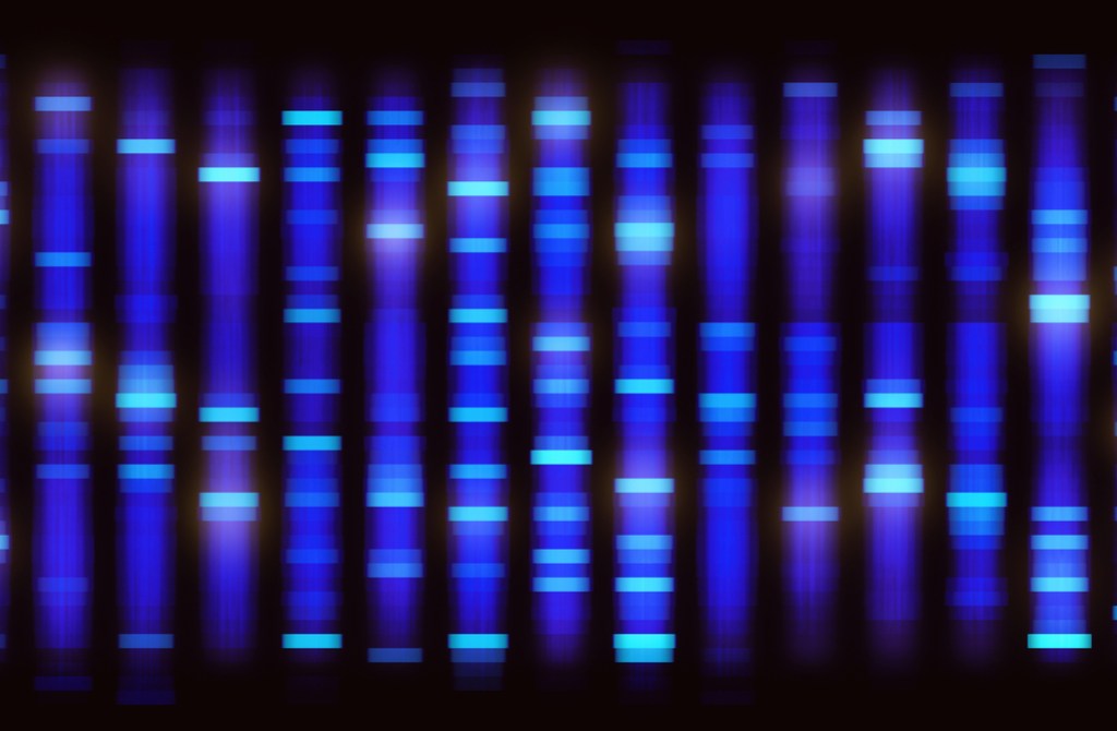 rows of fluorescent blue. within the rows are brighter bands of blue