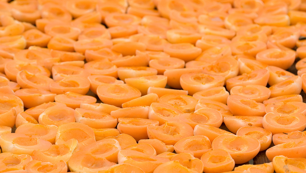 The Secrets Of Drying Your Food