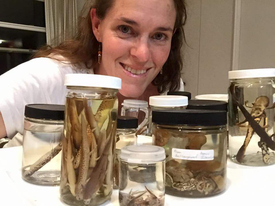 Meet The 2017 Science Friday Educator Collaborative