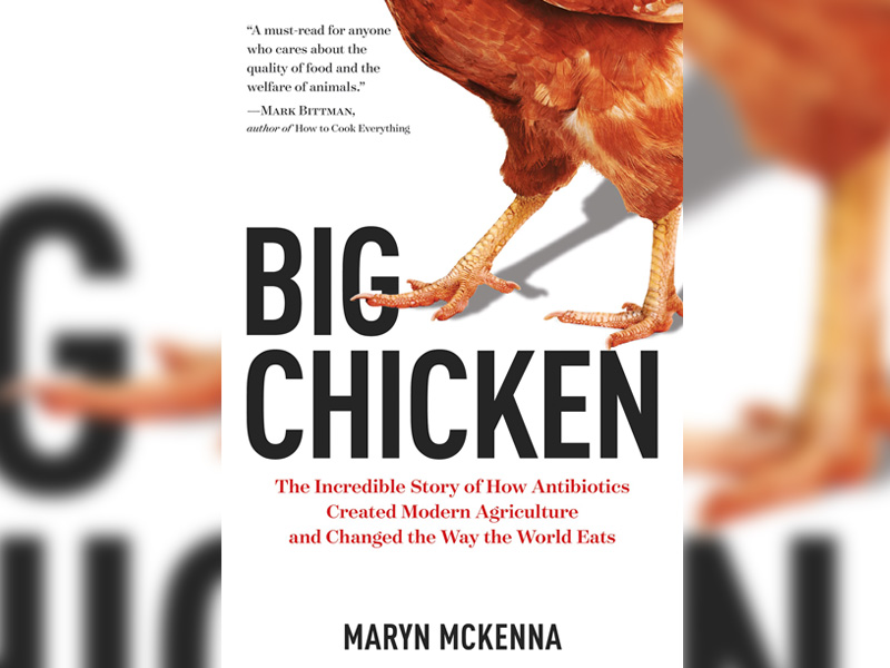 Which Came First: The Chicken Or Antibiotic Resistance? Which Came First: The Chicken Or Antibiotic Resistance?