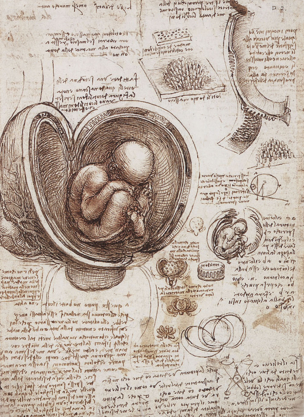 Leonardo da Vinci: Universal Genius