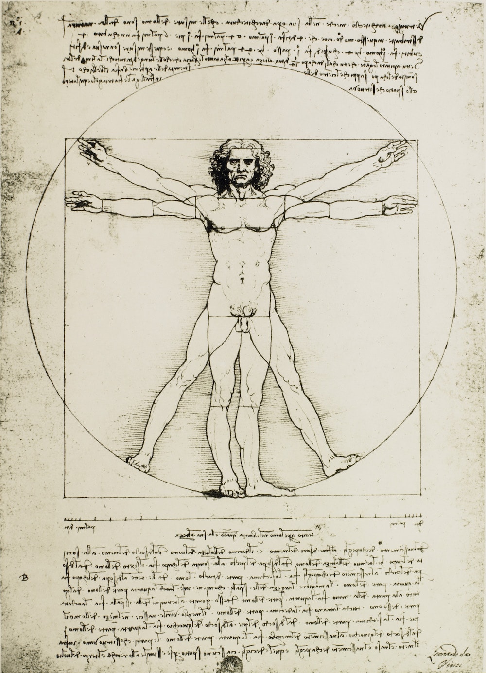 Leonardo da Vinci Master Of Art And Science