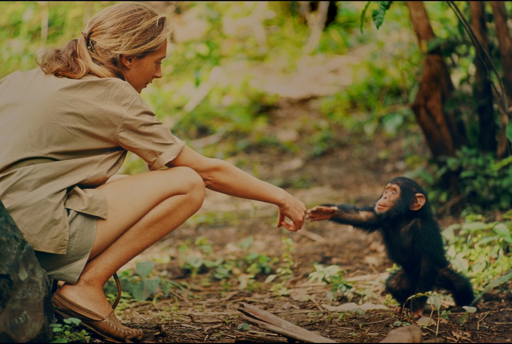 Jane Goodall And Her Life In The Wild
