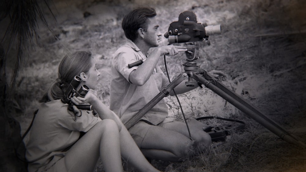 Jane Goodall and Hugo van Lawick