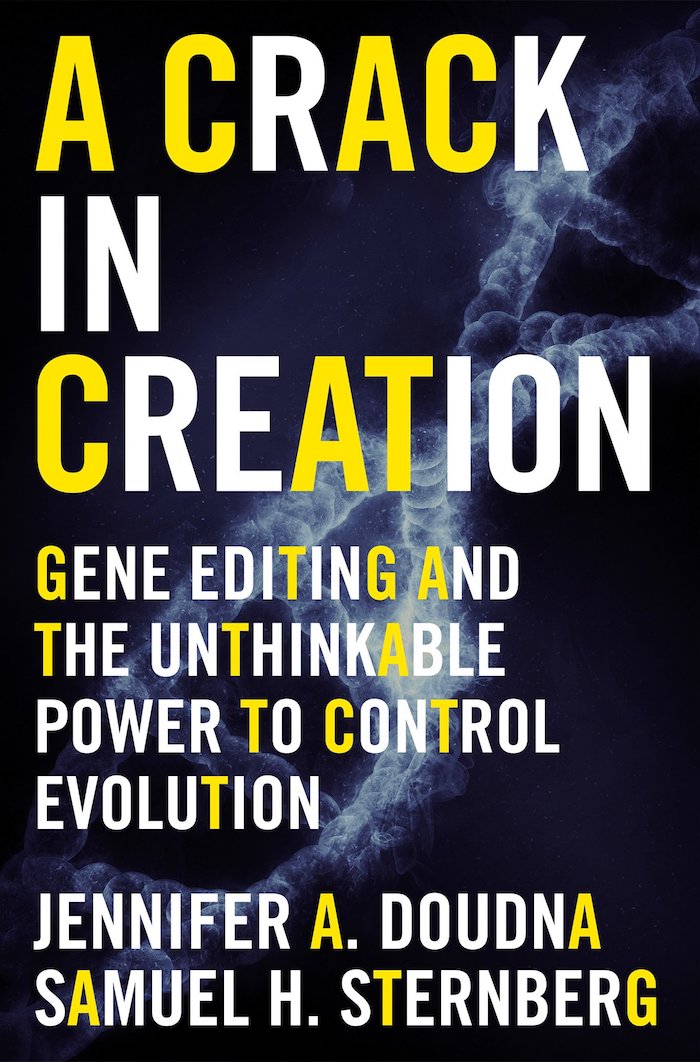 crack in creation book cover