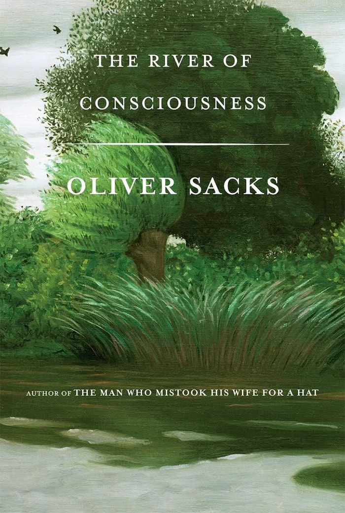 river of consciousness book cover