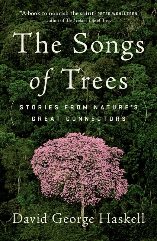 the song of trees book cover