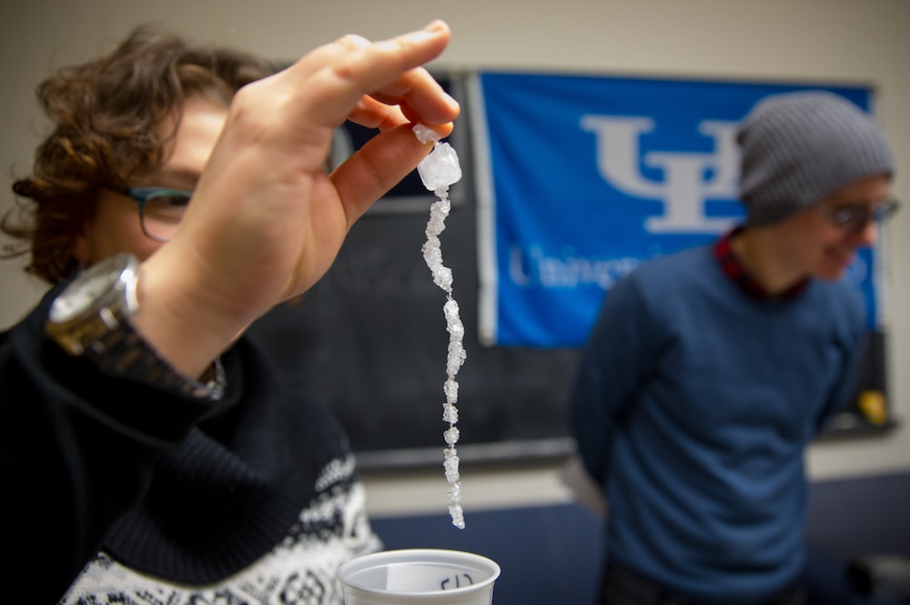 a judge of the crystal growing competition holding up a string of white crystals